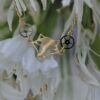 Bracelet Renard – Image 2