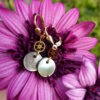 Boucles d'oreilles nacres rondes petit modèle