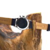 Tissot Chronograph 808A Lemania Cal.1281 – Image 12