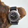 Glycine GL0371