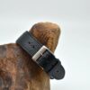 Glycine GL0371