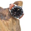 christopher ward c60 trident pro 600
