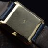 Piaget Protocole 9154