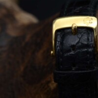 Van Cleef & Arpels Vintage