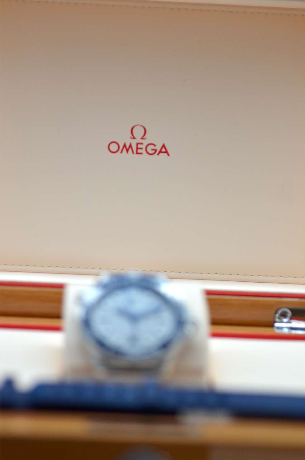 Omega Seamaster 21030422006001