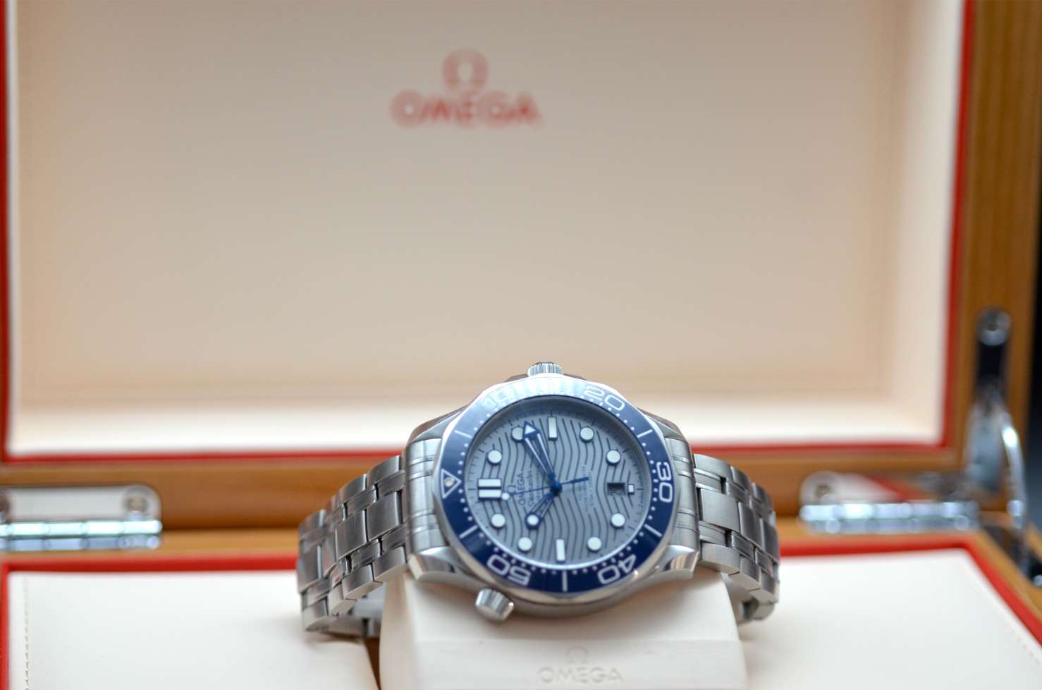 Omega Seamaster 21030422006001