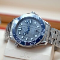 Omega Seamaster 21030422006001
