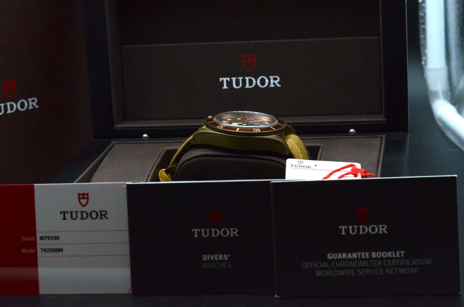 Tudor Black Bay Bronze 79250BM Heritage