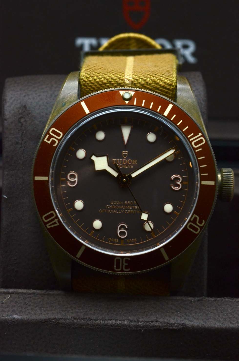Tudor Black Bay Bronze 79250BM Heritage