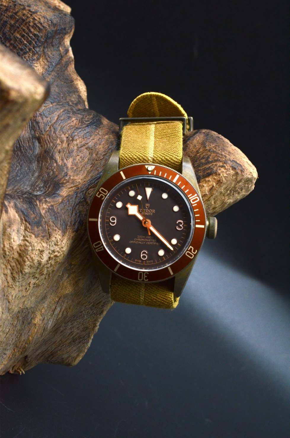 Tudor Black Bay Bronze 79250BM Heritage