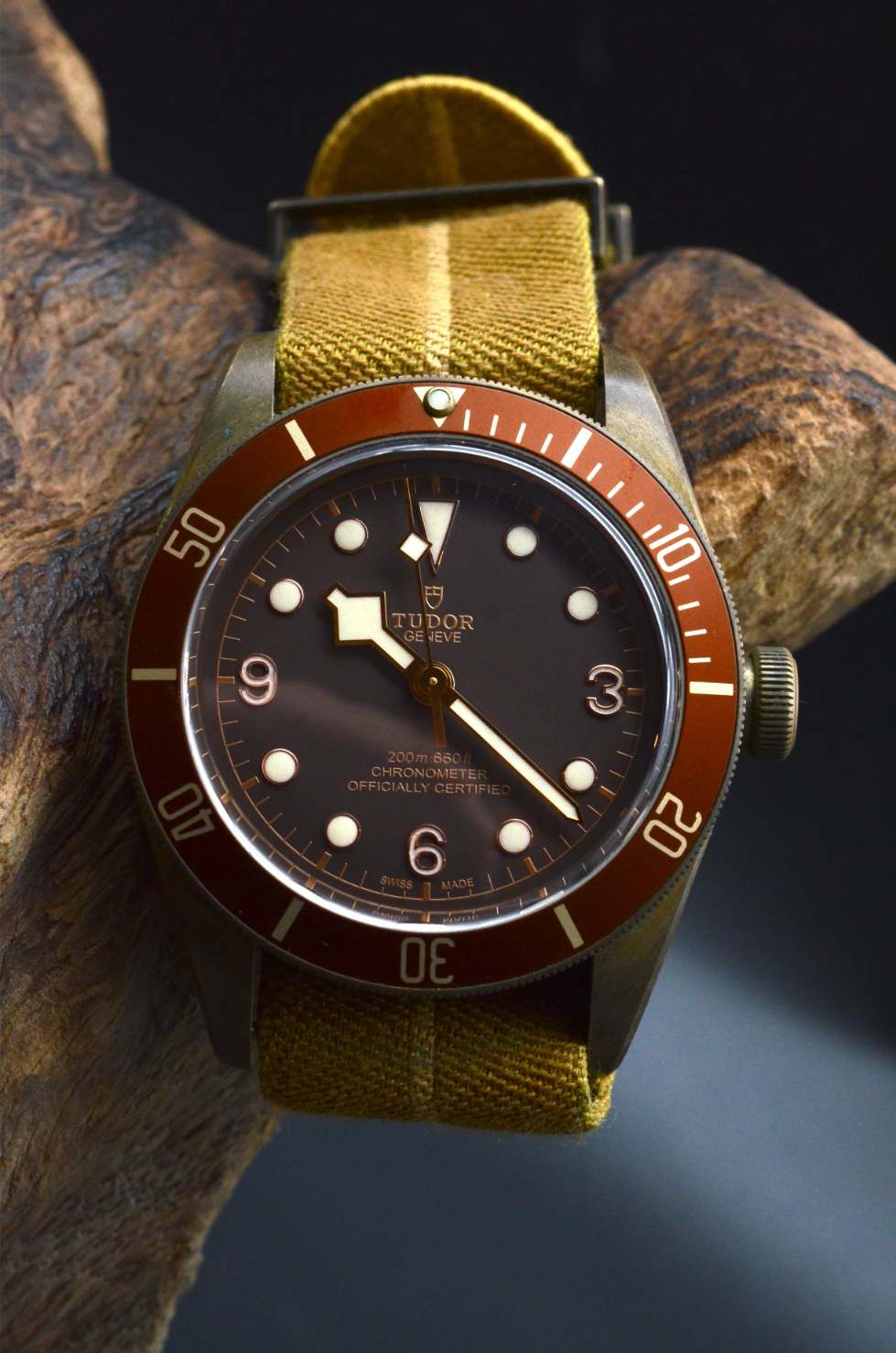 Tudor Black Bay Bronze 79250BM Heritage