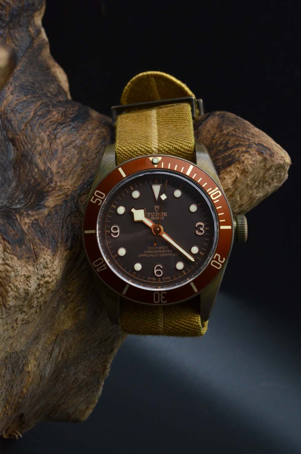 Tudor Black Bay Bronze 79250BM Heritage