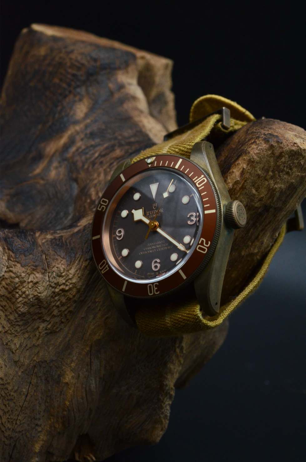 Tudor Black Bay Bronze 79250BM Heritage