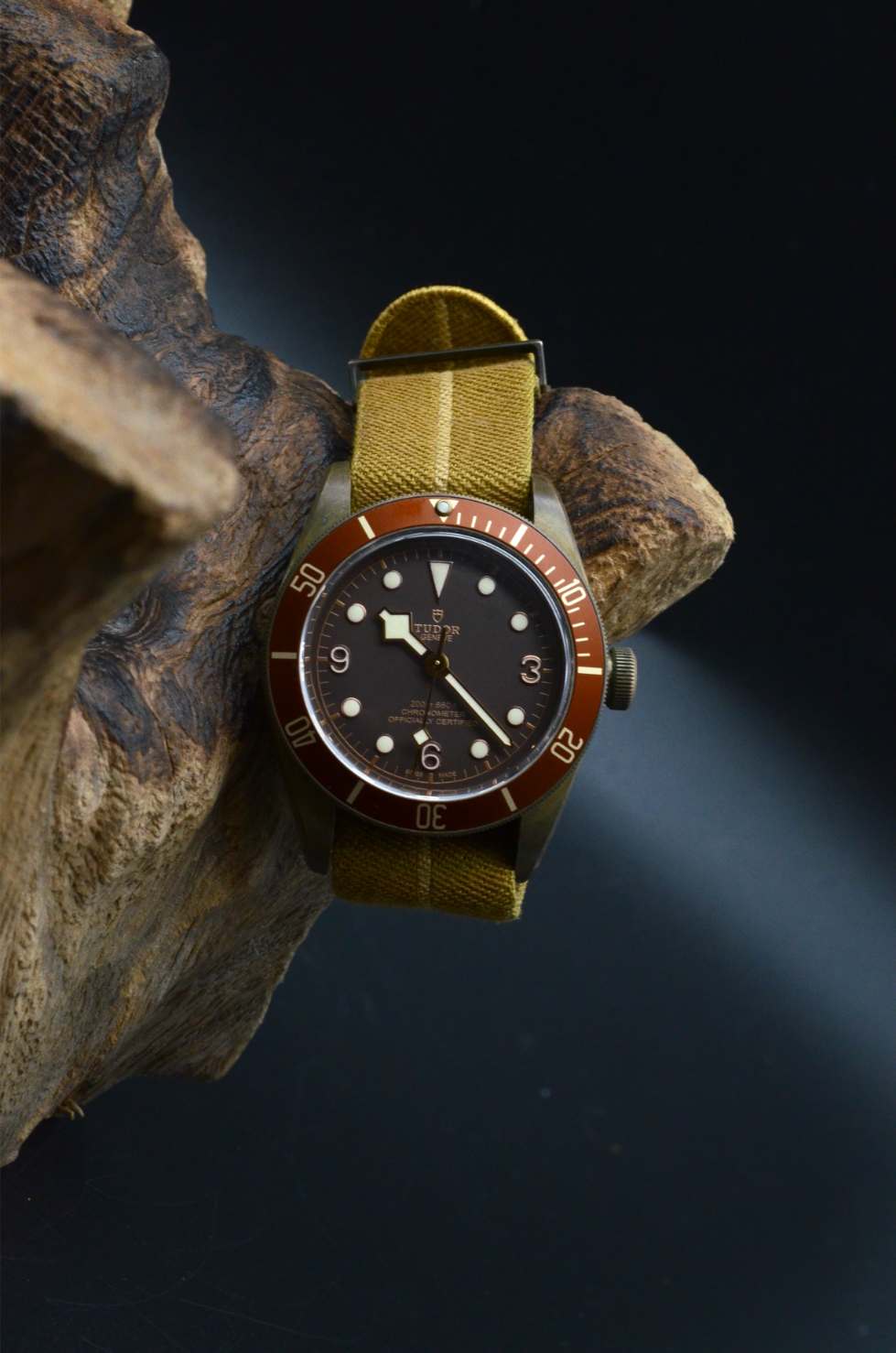 Tudor Black Bay Bronze 79250BM Heritage