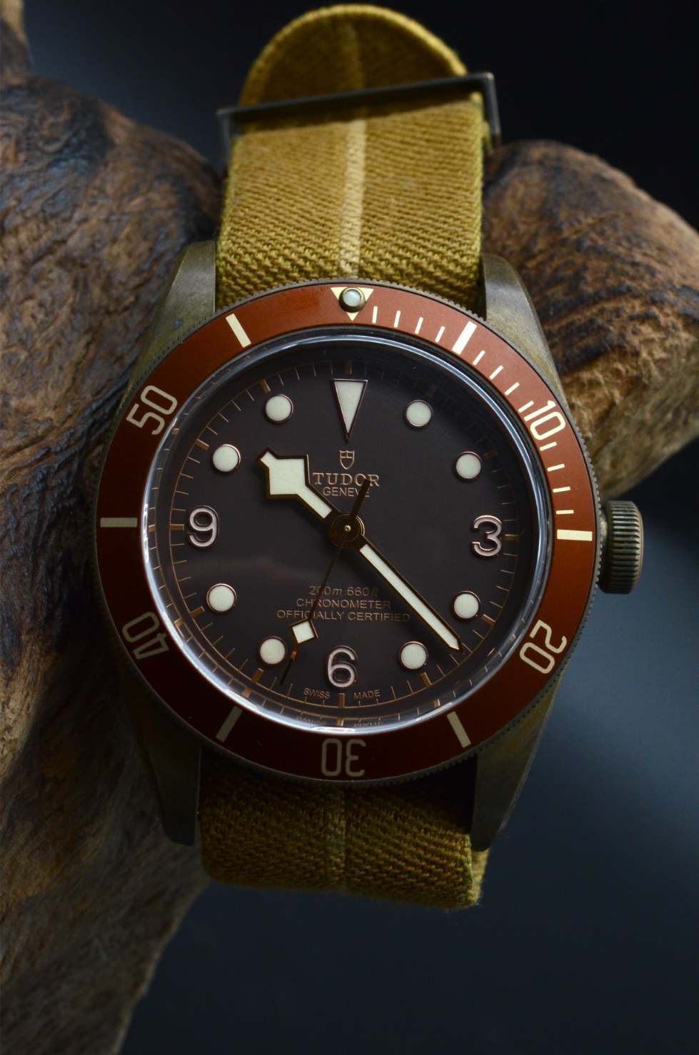 Tudor Black Bay Bronze 79250BM Heritage
