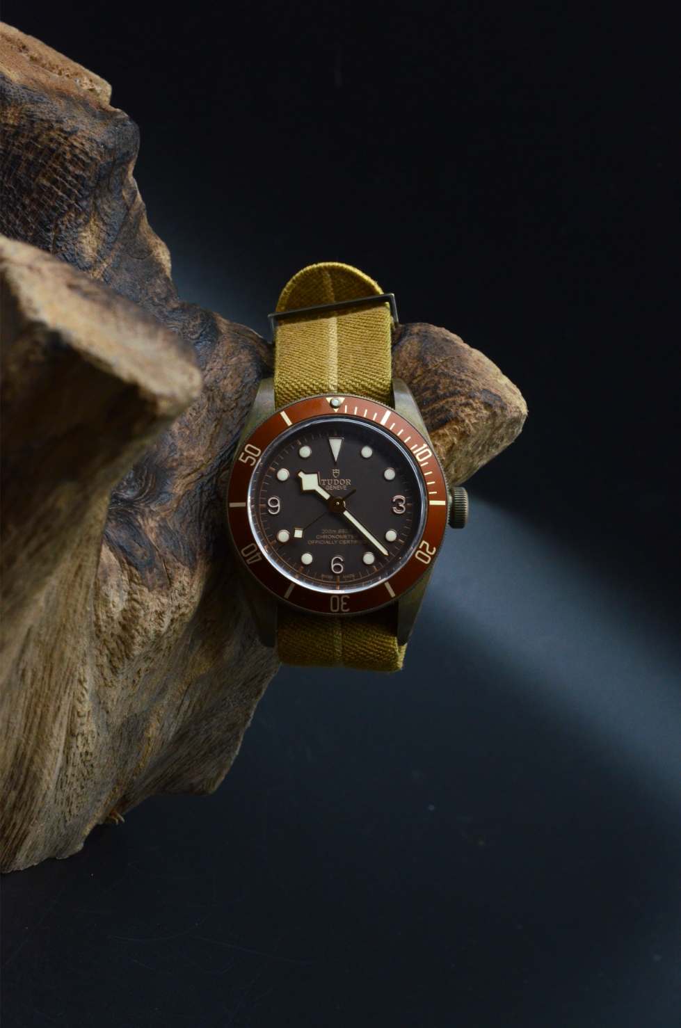 Tudor Black Bay Bronze 79250BM Heritage