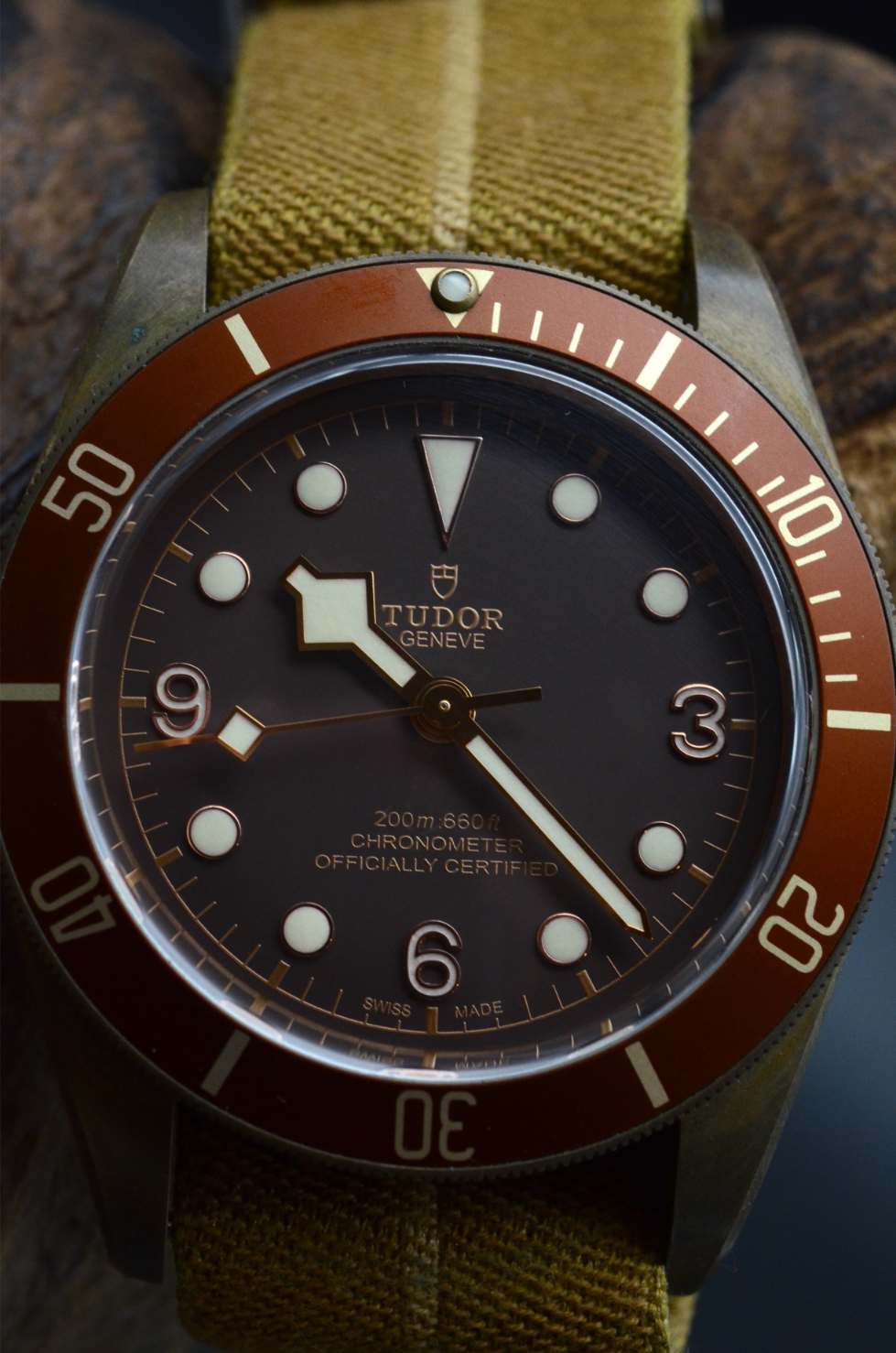 Tudor Black Bay Bronze 79250BM Heritage